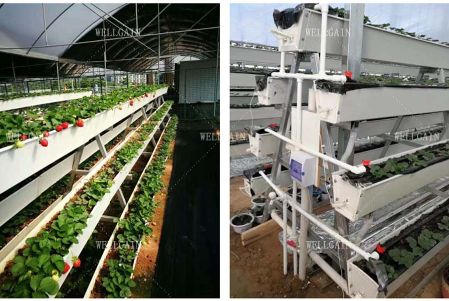 Indoor Strawberry Growing Troughs Greenhouse PVC Hydroponic Gully Vertical Farming System