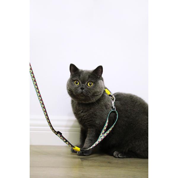 Travel Small Cat Harness And Leash Kitten Lead And Harness