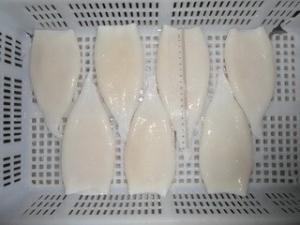 Frozen squid tubes (Illex argentinus)