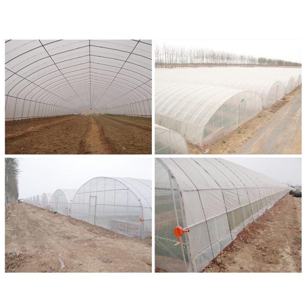 Optimal Plant Cultivation Tunnel Greenhouse Covered with 150/200micro PO Film