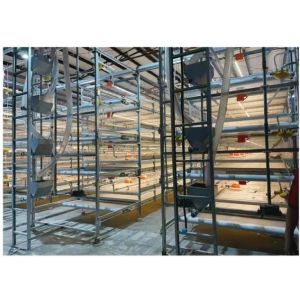 China Automatic Harvesting Broiler Cage Steel Poultry Houses wholesale
