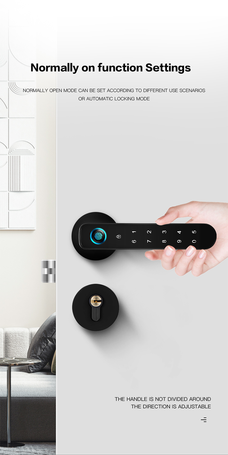 Fingerprint House Door Lock with four ways unlock support bluetooth unlock,wok with google home and alexa