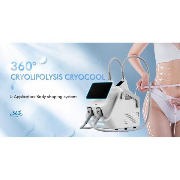 2 Handles Cryolipolysis 360 Machine Fat Removal Body Slimming Machine