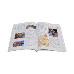 Woodfree Paper Industrial Side Spine Book Binding Glue Yellowish Granule