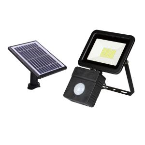 China 1000 Lumens Solar Motion Sensor Flood Light Waterproof Cold White 80 SMD LED on sale