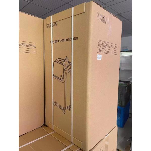 Full Intelligent portable Nebulizer Oxygen Machine generator 10 Liter