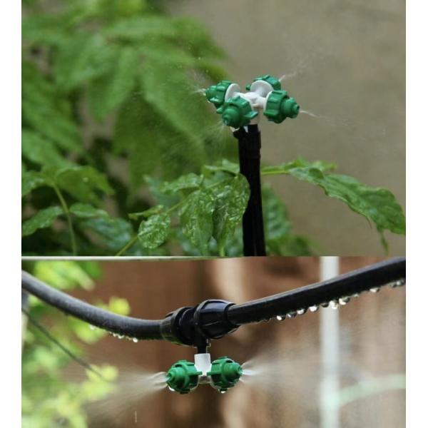 Agriculture Multi Span PC Plate Greenhouse for Vegetable/Crop/Flower/Fruit Planting