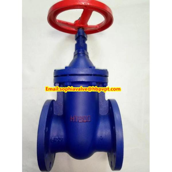 BS flanged gate valve with metal seal