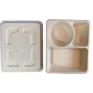 3Grid Disposable Lunch Box , Takeaway Biodegradable Packaging Box