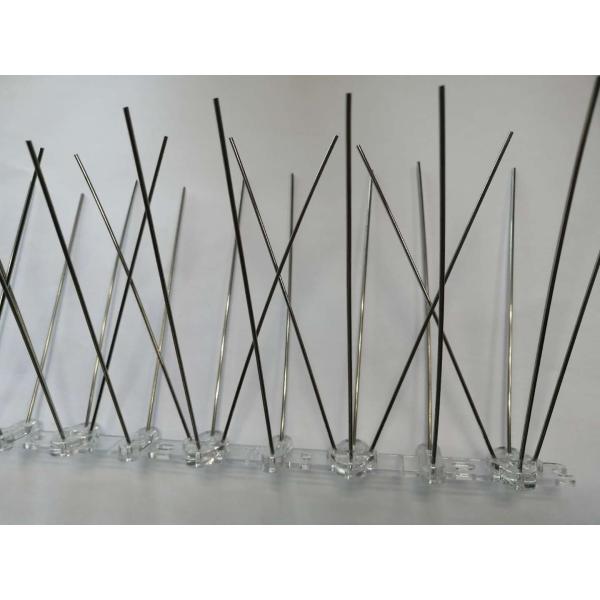 Plastic Stainless Steel Anti Bird Spikes For Residential Roof