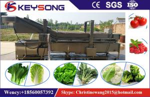 China Industrial Bubble Vegetable Washer Machine , Big Capacity Vegetable Processor Machine on sale