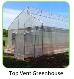 Multi-Span Agricultural Greenhouse 6m-12m Width with 150/200micron PE Film