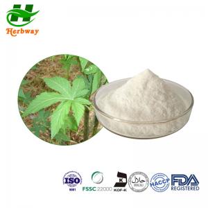 China ISO Sweetener Powder Sweet Tea Extract  70%-85% Rubusoside For Food Addtive on sale