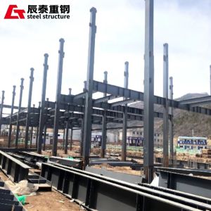 Fast Install High Rise Steel Buildings Construction Storage Building