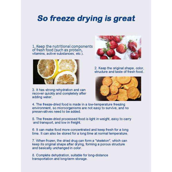 CE 5kg 6Kg Small Freeze Dryer 110V Mini Vacuum Lyophilizer For Lab