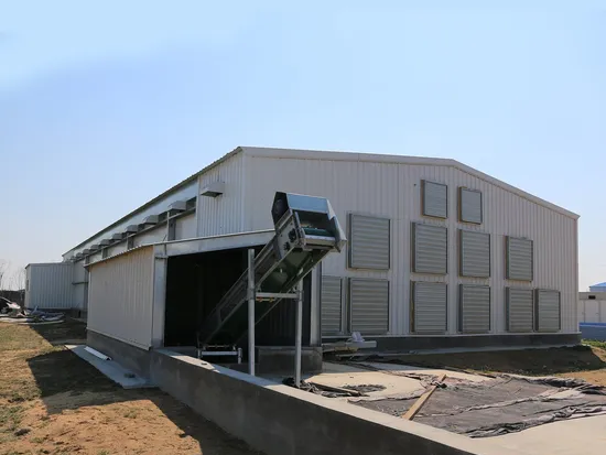 Customized Color Steel Structure Shed Construction Graphic Design For Poultry Farming