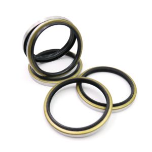 China Excavator DKB Hydraulic Dust Seal Rubber Iron Material Black Color wholesale