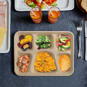 Peohud 50 Pack 6 Compartment Disposable Paper Plates