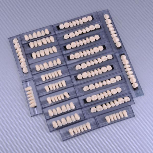 Advanced Type Dental Artificial Denture Acrylic Resin Teeth Set
