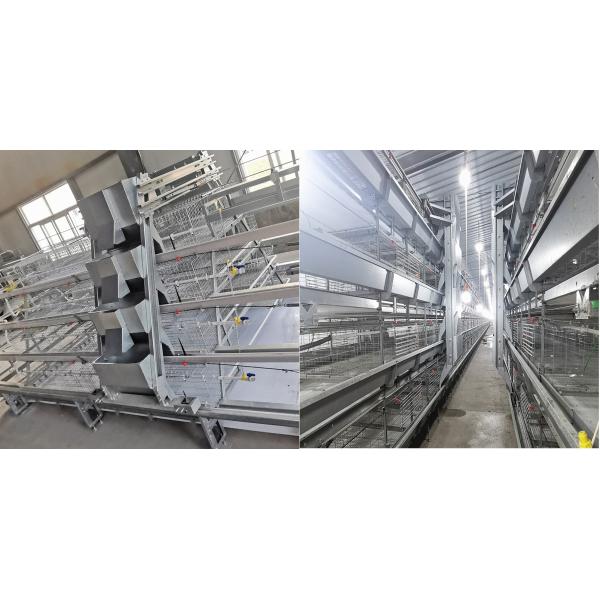 3-4 Layers Poultry Broiler Equipment SONCAP Moden Chicken Battery Cage