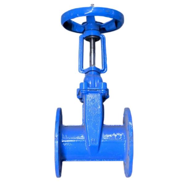 Quality Y Type Large Diameter Valve Ductile Iron Soft Sealing Flange Gate Valve Z41X-16Q DN300 for sale