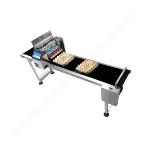 China Automatic Electric Egg Processing Machine Coding Carton Printing 60kg 100w wholesale