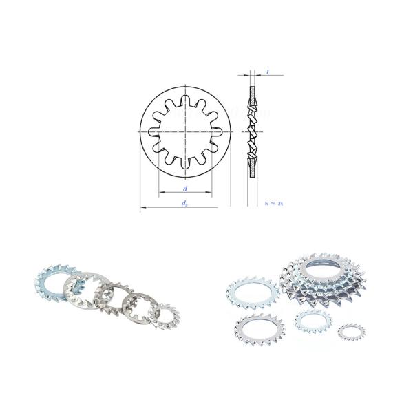 Stainless Steel Serrated Lock Washers Rust Proof Washer With Teeth Inside