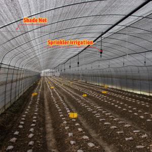 China Mushroom Growing Black White PEP Mushroom Farm Greenhouse Agricultural Greenhouse wholesale