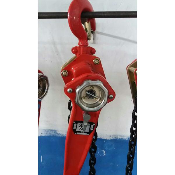 Quality Anti Impact G80 Galvanized 3 Ton 3m Manual Chain Block for sale