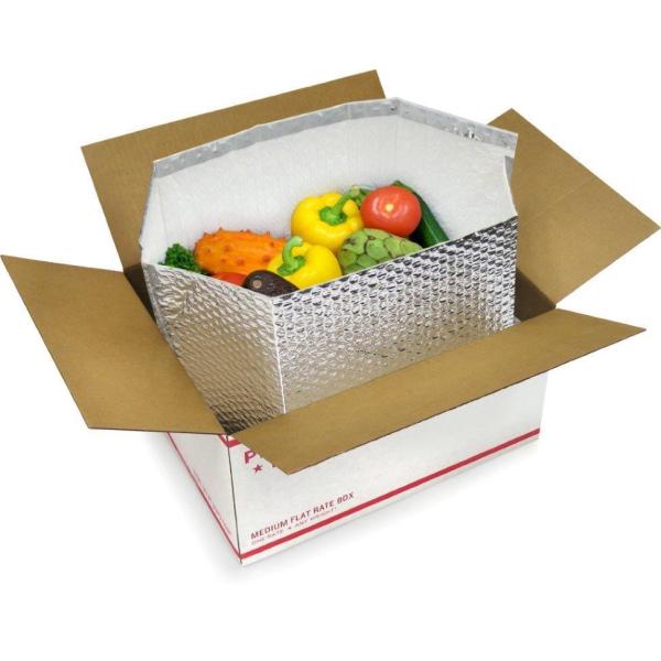 Bubble Slider bags, Bubble Zipper bags, Bubble Metaillized bags, Bubble Cosmetic Makeup Pack bags, Bubble Mail Bags