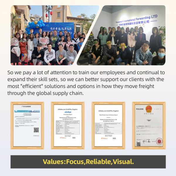 TUV China To Asia LCL Sea Freight LCL Shipping Agent