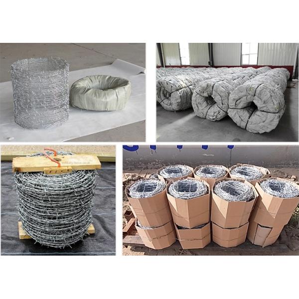 Barbed Wire 2 Strands 4 Points Eco-friendly African Double Twist Razor Wire Fence