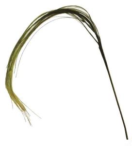 China HAIHONG 120cm Artificial Weeping Willow Artificial Plant Accessories wholesale