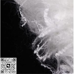 Textile Virgin Polyester Fiber Lightweight Synthetic Polypropylene Fiber