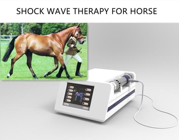 Quality Portable Shock Wave 5Mj ESWT Shockwave Machine for sale