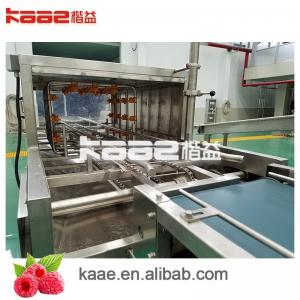 China Tropical Fruit Pulp Processing Line With Automatic Cleaning System Whole Line Fruit Pulp System wholesale