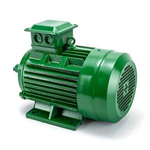 China Single And Three Phase Induction Motor 3 Phase Induction Machine 3ph 5.5kw 4Kw Ip55 on sale