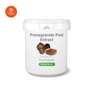 China Pomegranate Peel Extract Powder Pomegranate Extract Punicalagin Ellagic Acid Polyphenol on sale