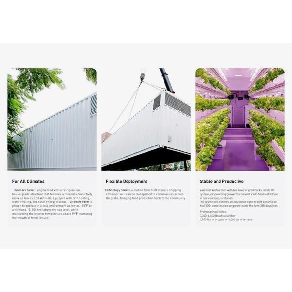 Juxiang OEM Living Vegetable Hydroponic Culture System with 40ft Container Greenhouse