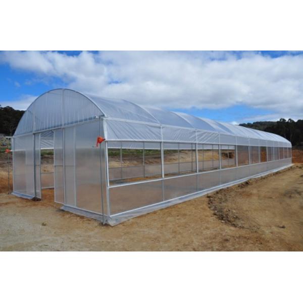 Galvanized Steel Frame PE Film Greenhouse 3.2m High Tunnel Greenhouse