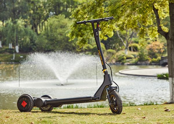 Quality outdoor Rear Wheel 13inch Stroller 3 Wheel E Scooter for sale