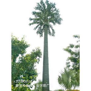 China Camouflaged Disguised Cell Phone Towers 50m Galvanized Steel wholesale