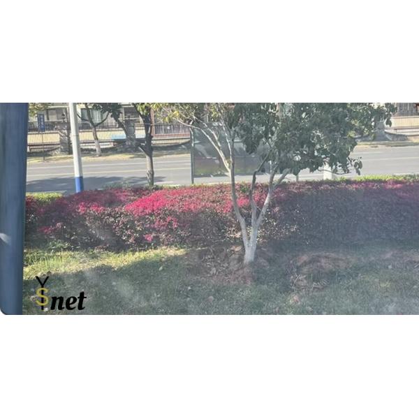 Gray Fiberglass Insect Screen Mesh 0.6m - 2.5m PVC Coated Fiberglass Mesh