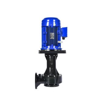 China Self Priming Vertical Sewage Pump With Compact Structure High Pressure on sale