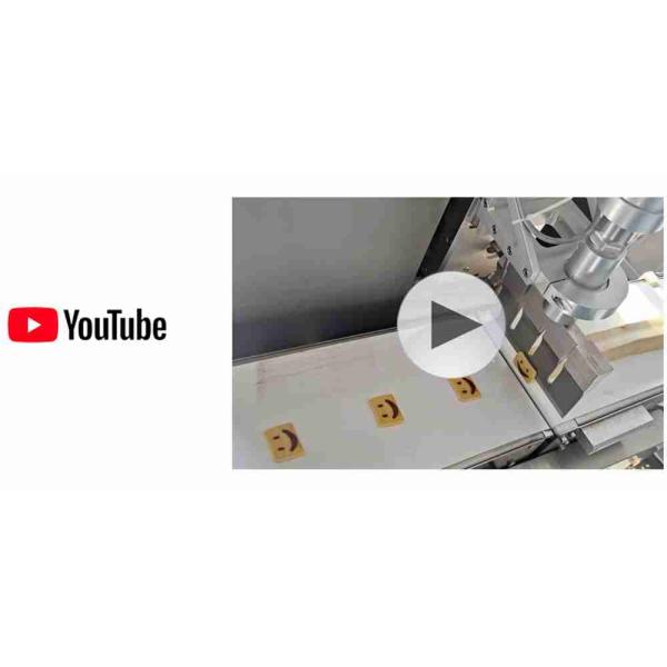 Sliced Cookies Encrusting Machinery 100g Biscuit Manufacturing Machine