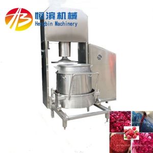 Industrial Hydraulic Juicer for Grape Watermelon Mango Pineapple Tomato