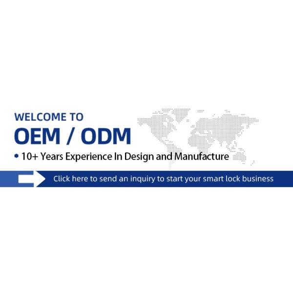 Fully Auto Smart Lock with WiFi Bluetooth Fingerprint and Key