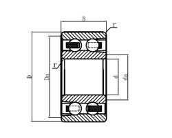 China Double Row Deep Groove Ball Bearings 4206 wholesale