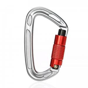 China Sale Polished Aluminum Alloy Dog Leash with Precision Casting Screwgate Carabiner on sale