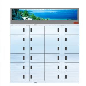 China Winnsen Flowers Goods Refrigerated Locker Eggs Remote Control wholesale